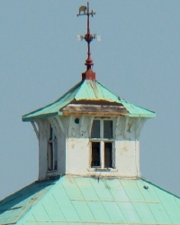 Roof Damage