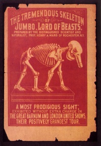 children riding Jumbo